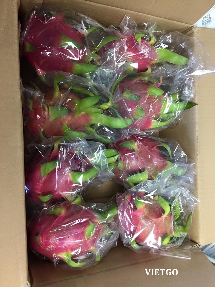dragon fruit